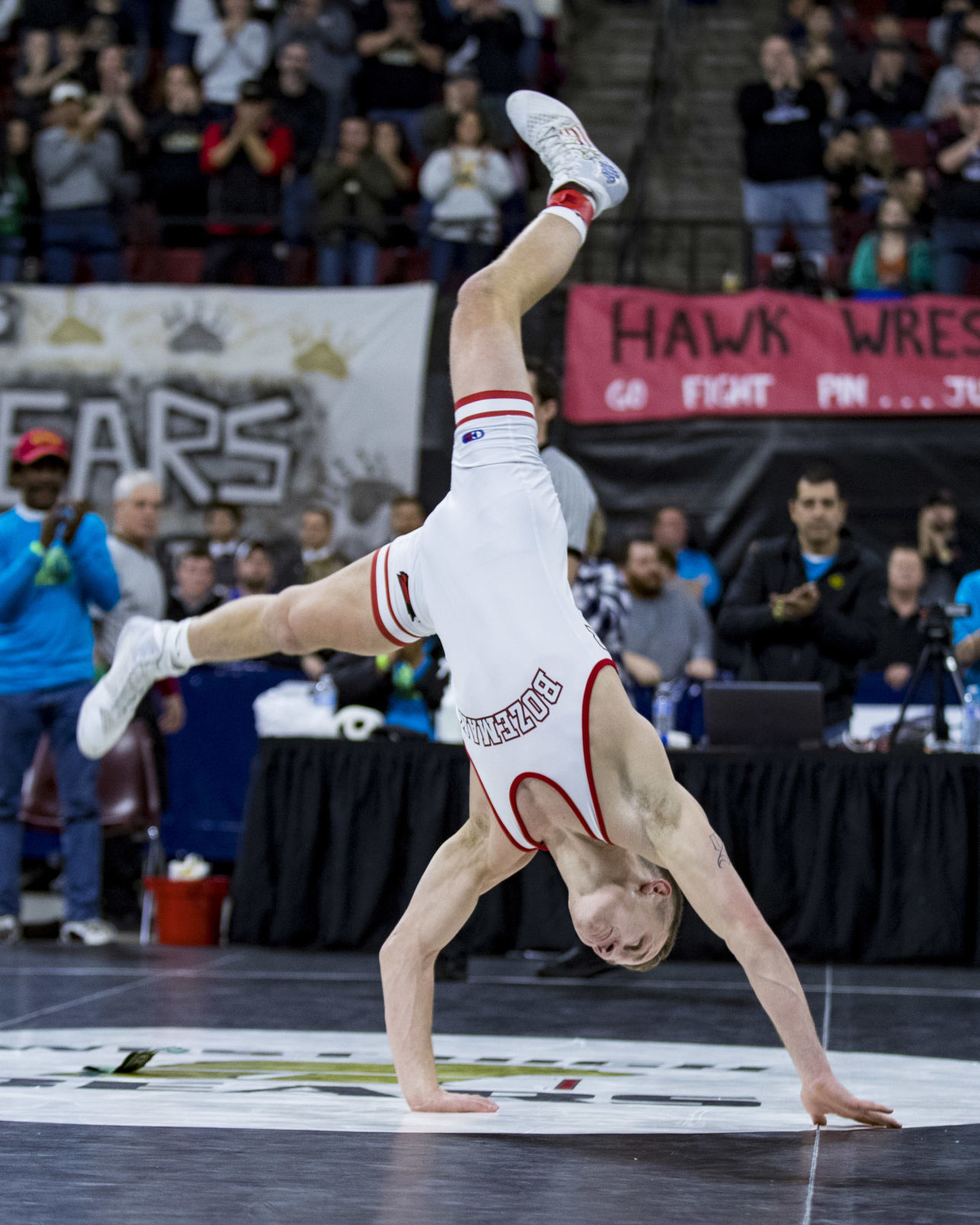 State Wrestling Championships